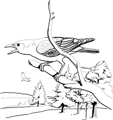 Perched Crow Coloring Page